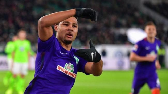 绿茵场上的 绿茵场上的